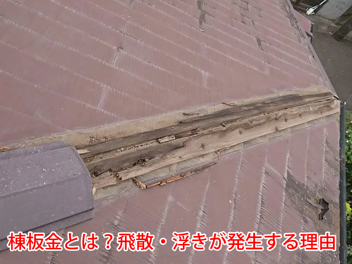 棟板金とは？飛散・浮きが発生する理由を現地調査の様子と併せてご紹介
