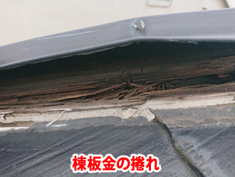 棟板金が捲れ、内部の貫板の腐食を確認