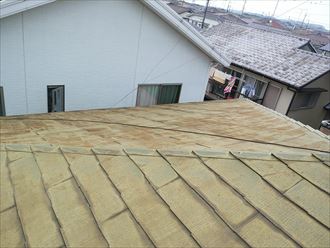 八千代市下市場　苔の発生による変色