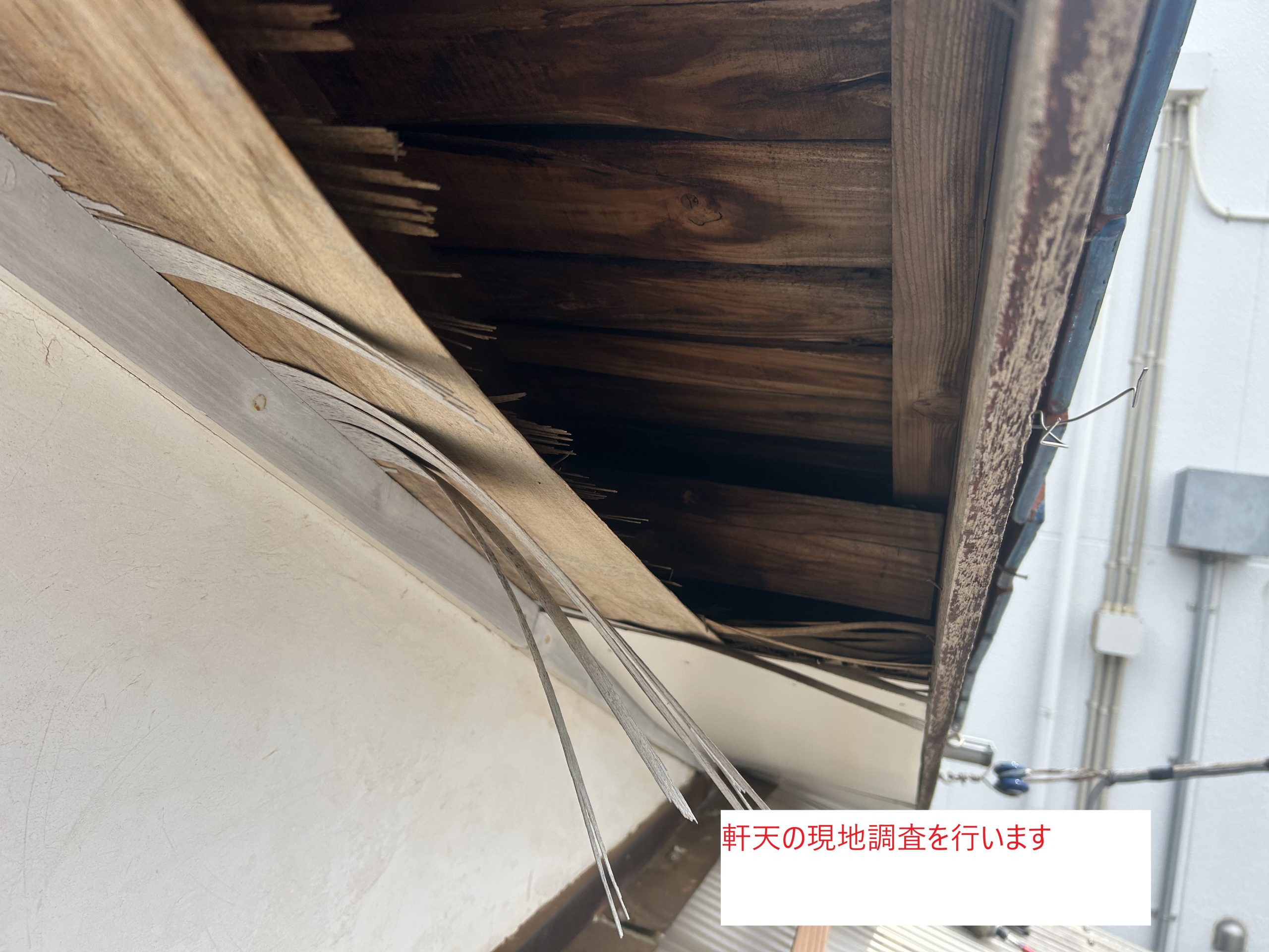 松戸市中矢切での軒天の状態を確認