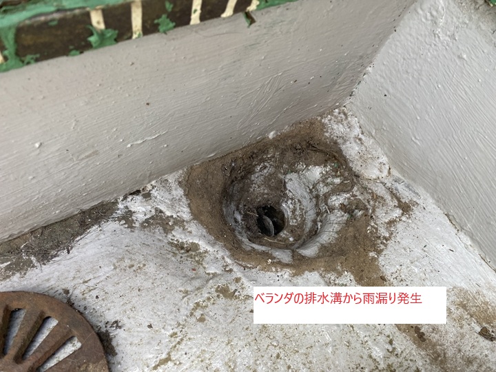 調査1