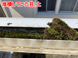 堆積していた苔、土