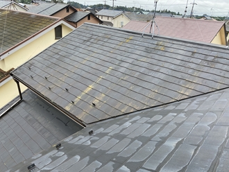 スレート屋根の苔カビ