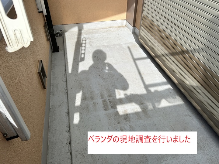 現地調査