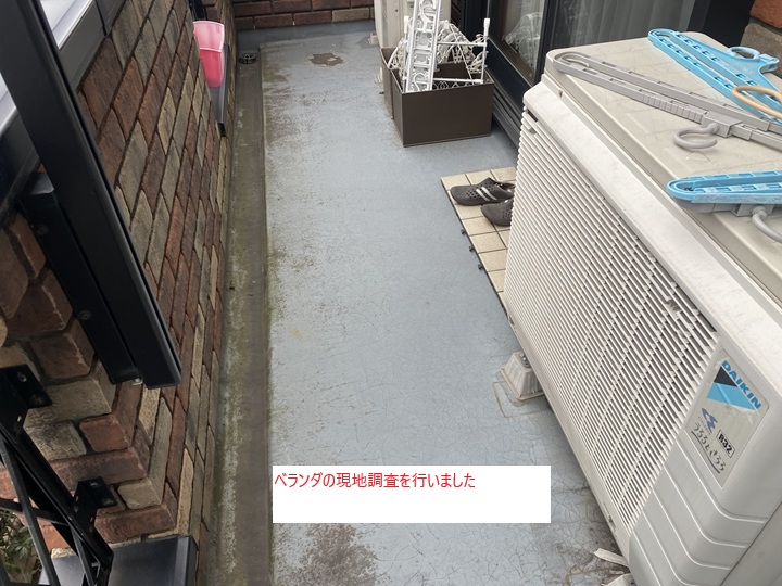 現地調査の様子と劣化状況