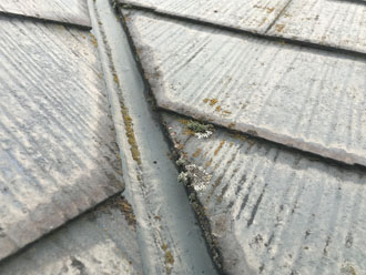 屋根の防水機能が低下し、苔が発生してしまったスレート