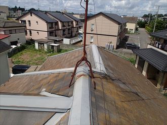 袖ケ浦市　苔の発生