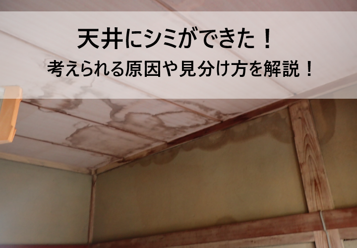 天井に表れたシミ、その原因とは！？原因別見分け方を解説！