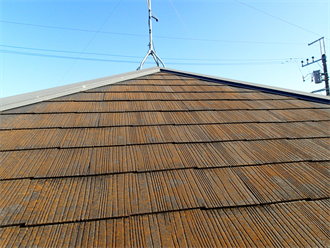 スレート屋根の苔