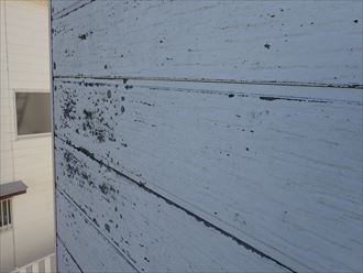 サイディング外壁の塗膜が剥がれ防水性や耐久性が低下