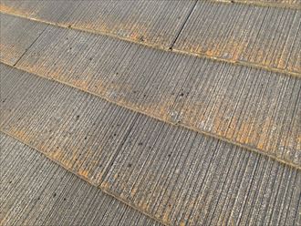 君津市　素地の露出