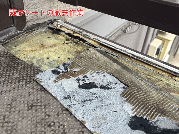 既存シート撤去