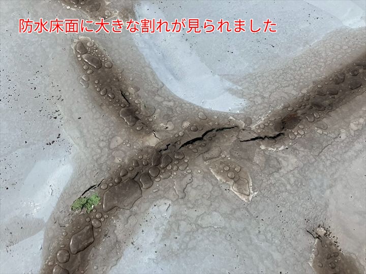 防水層の大きな割れ