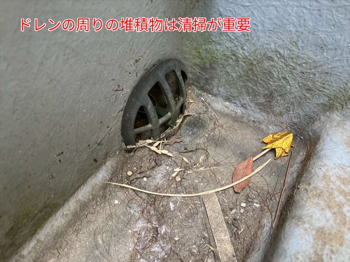 ドレン周りの汚れの堆積