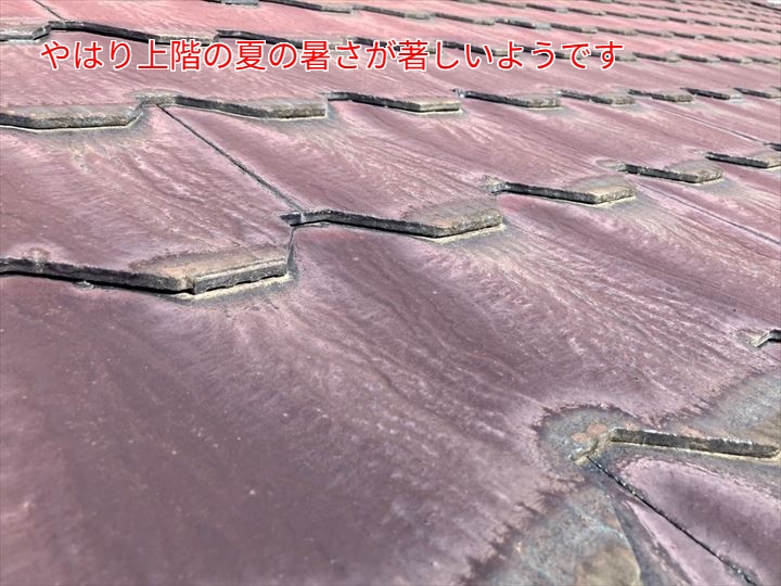 既存屋根表面のアップ
