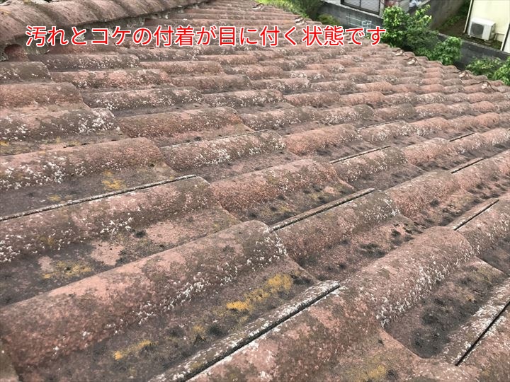 コケや汚れの付着したセメント瓦