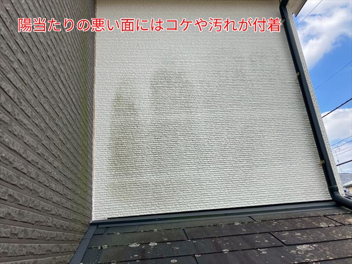 陽当たりの悪い面にコケや汚れが付着しています。
