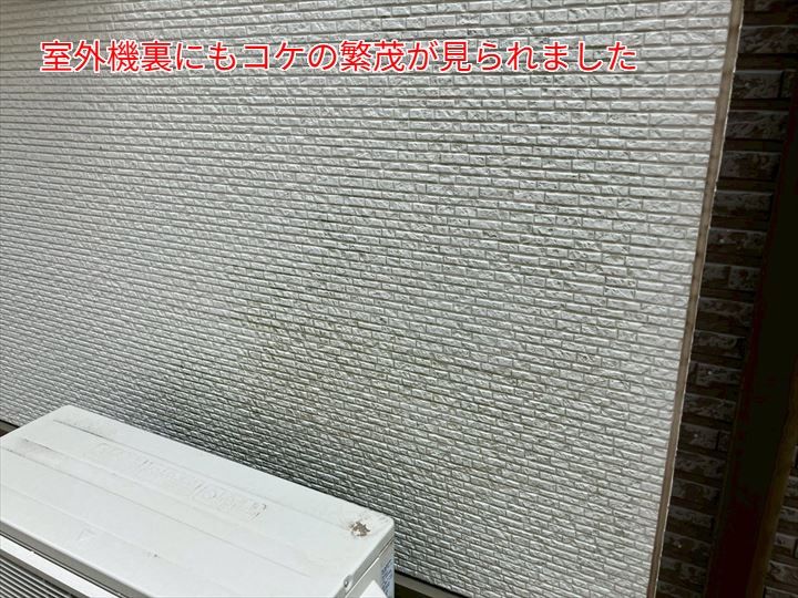 室外機裏のコケの繁茂