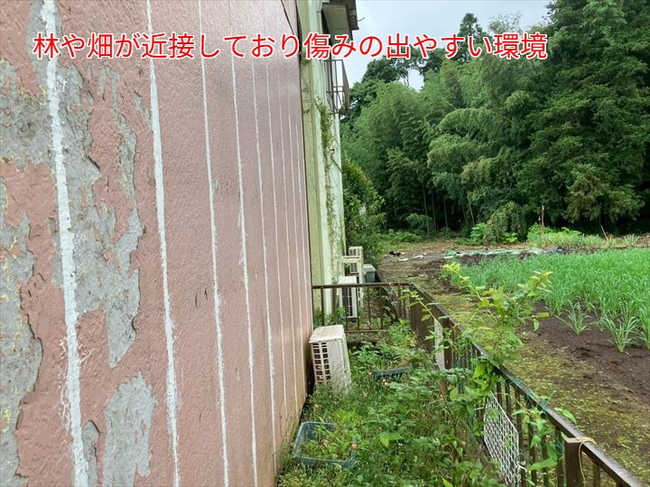 林や畑が近接しており傷みの出やすい環境