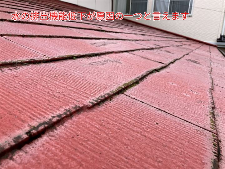 水の排出機能低下が原因の一つと言えます