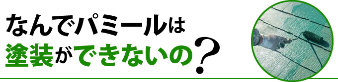 なんでパミールは塗装ができないの?