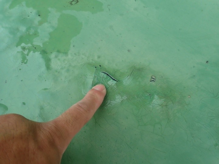 防水層の破れ箇所の確認