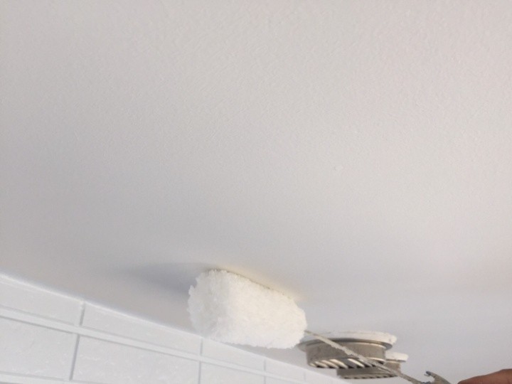 軒天・破風板・雨樋など付帯部の塗装