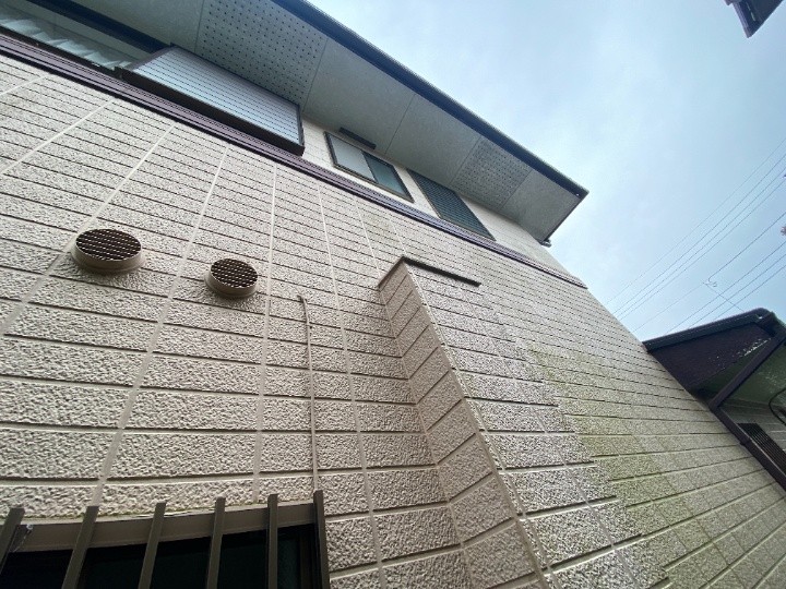 外壁全体の調査状況