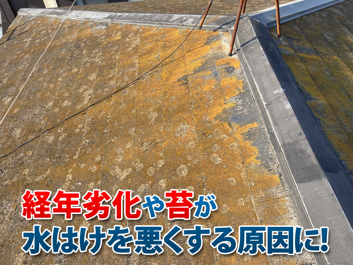経年劣化や苔が屋根の水はけを悪くしてしまいます