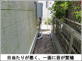 日当たりが悪い西面の外壁