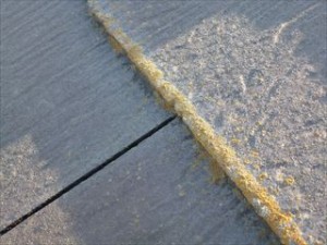 千葉市　塗装調査　スレート屋根　苔