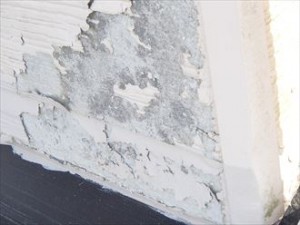 市原市 外壁塗装調査 塗膜剥離