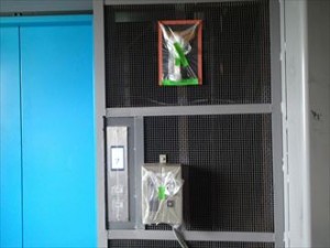 千葉市 工場改修工事 養生