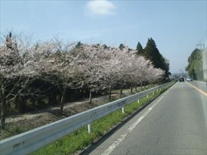 千葉市 中古住宅 調査