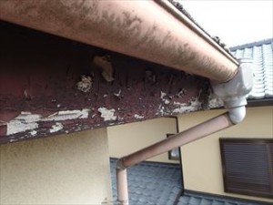千葉市 中古住宅 調査