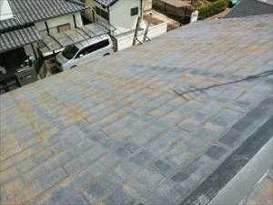 市原市 屋根塗装調査