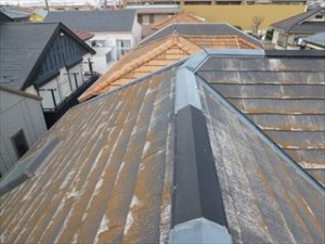 習志野　屋根メンテナンス　調査　退色と苔