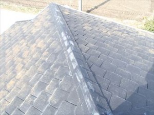 市原市 屋根塗装調査 塗膜劣化