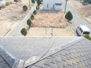 市原市 屋根塗装調査