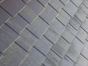 市原市 屋根調査 苔
