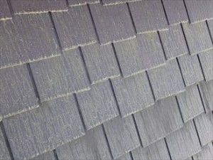 市原市 屋根調査 苔