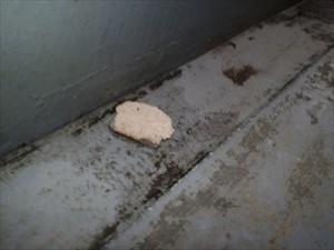 袖ヶ浦市のベランダ調査 防水面