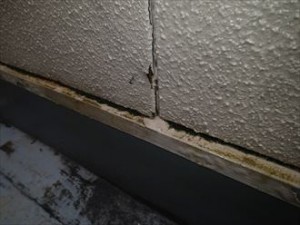 袖ヶ浦市のベランダ調査 苔発生