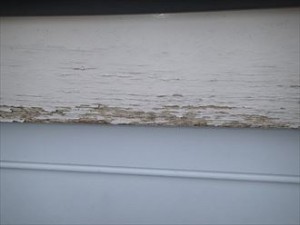 袖ケ浦市　外壁塗装の調査　塗膜剥離