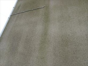 千葉市 外壁調査 藻 苔発生