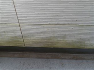 袖ケ浦市　ベランダ塗装　苔・藻の発生
