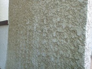 袖ケ浦市　外壁塗装　事前調査　藻