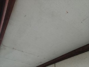 木更津市 軒天 塗装面劣化