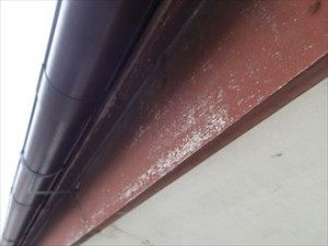 木更津市 雨樋 鼻隠し