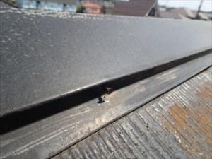 市原市　屋根塗装調査　棟板金の釘浮き